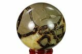Polished Septarian Sphere - Madagascar #154121-1